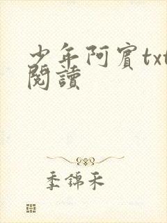 少年阿宾txt阅读