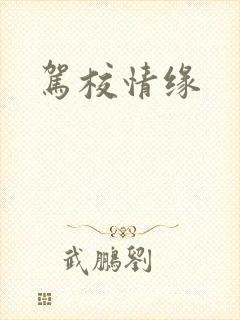 驾校情缘