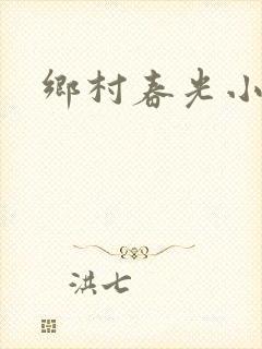 乡村春光小说封面