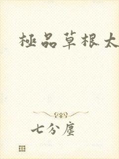 极品草根太子