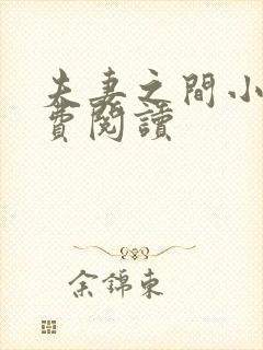 夫妻之间小说免费阅读