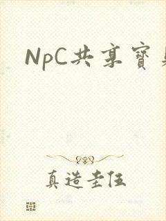 NpC共享宝贝