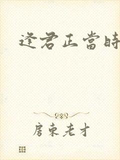 逢君正当时封面