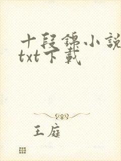 十段锦小说全本txt下载
