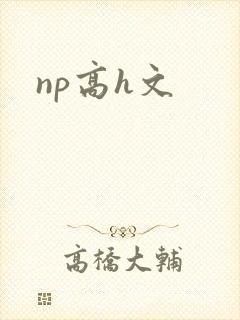 np高h文封面