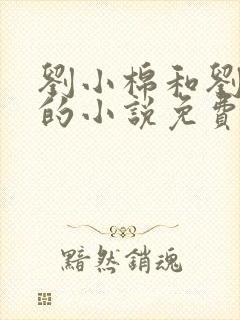 刘小棉和刘易文的小说免费阅读