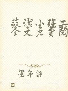 苏洁小强工地情全文免费阅读封面