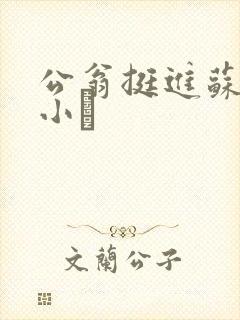 公翁挺进苏玥的小泬