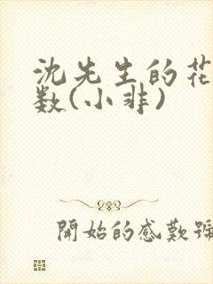 沈先生的花式调数(小非)