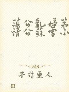 荡公乱妇第1章情公苏雪小说