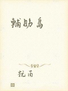 辅助岛