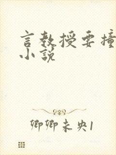 言教授要撞坏了小说