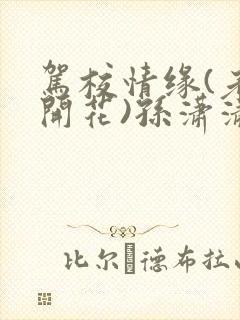 驾校情缘(老树开花)孙潇潇笔趣阁封面