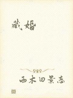 藏婚封面
