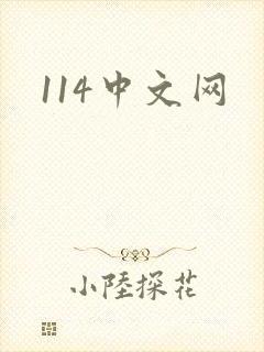 114中文网封面