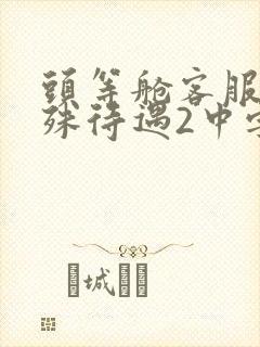 头等舱客服的特殊待遇2中字