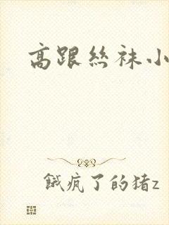 高跟丝袜小说