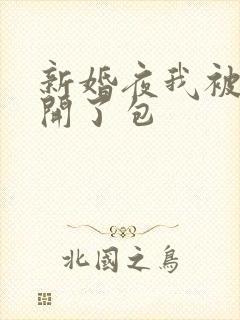 新婚夜我被伴郎开了包