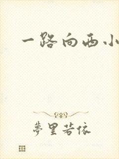 一路向西小说