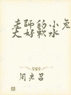 老师的小兔子好大好软水