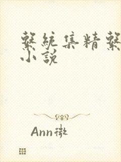 系统集精系统 小说封面