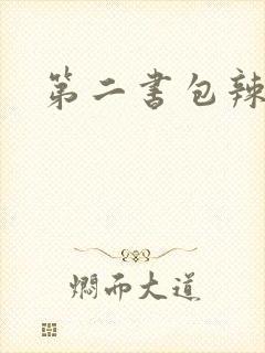 第二书包辣文