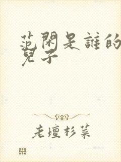 范闲是谁的亲生儿子封面
