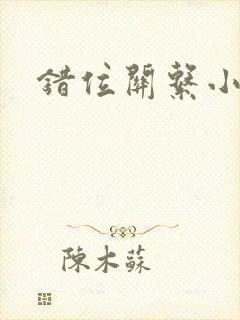 错位关系小说封面