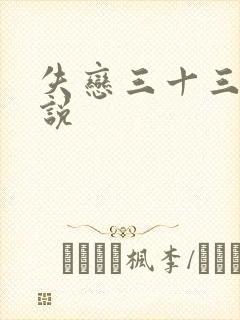 失恋三十三天小说