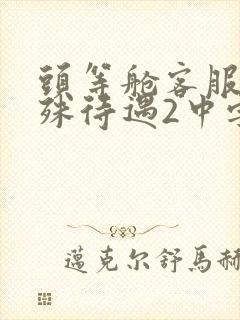 头等舱客服的特殊待遇2中字封面