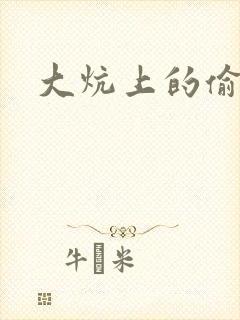 大炕上的偷乱2