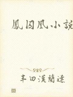 凤囚凰小说