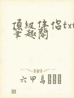 顶级伴侣txt笔趣阁封面