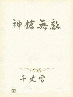 神枪无敌封面