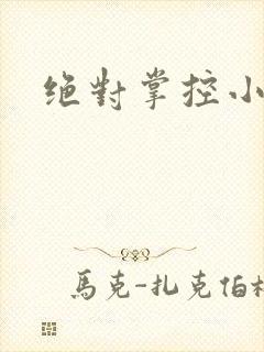 绝对掌控小说封面