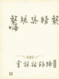 系统集精系统高嗨