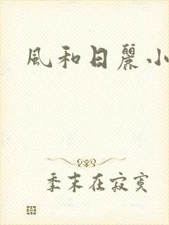 风和日丽小说