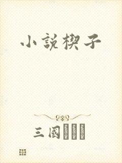 小说楔子封面