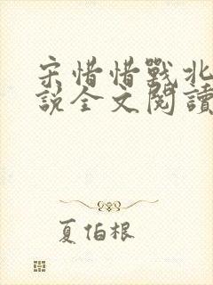 宋惜惜战北望小说全文阅读