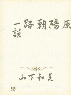 一路朝阳原著小说封面