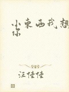 小东西我想弄坏你