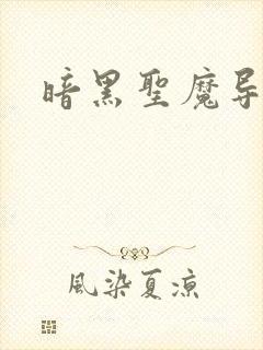 暗黑圣魔导