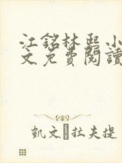 江铭林熙小说全文免费阅读