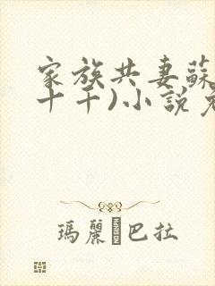家族共妻苏苏(十千)小说免费