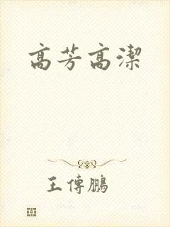 高芳高洁封面