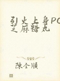 引火上身POP芝麻糖丸