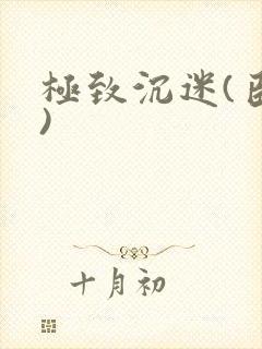 极致沉迷(臣年)封面