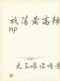 放荡黄高辣h文np