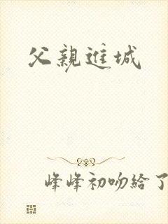 父亲进城封面