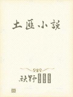 土匪小说